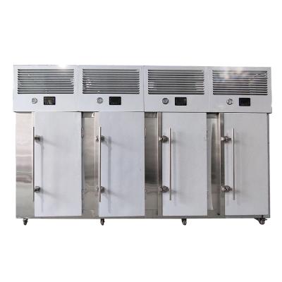 Cina Industrial Food Storage Shock Quick IQF Small Blast Freezer Vegetable Instant Cryogenic Fast Flash Freezing Machine in vendita