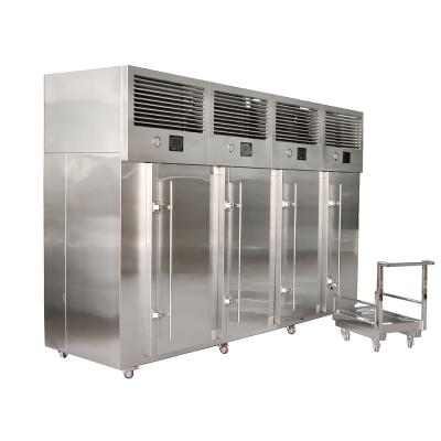 Cina Vertical Shrimp IQF Multi Door Freezer Commercial Instant Fish Individual Quick Machine in vendita