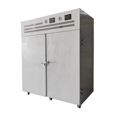 Cina Large Fish Quick Industrial Double Door Commercial IQF Blast Shock Freezer Machine For Sale in vendita