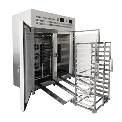 China Industrial Fast Quick Freezing Fruit Vegetable Food Small Shock IQF Blast Freezer Machine à venda