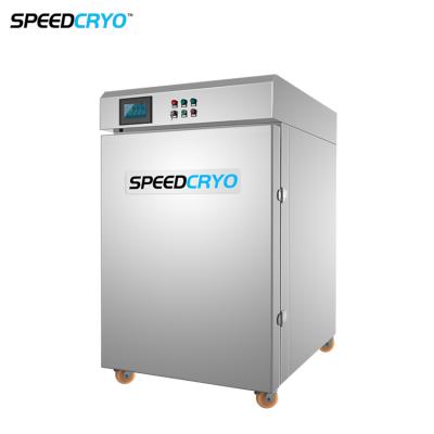 Cina French Fries Flash Freeze Shock Food Industry Cryogenic Nitrogen Cabinet IQF Small Blast Freezer For Potato Chips in vendita