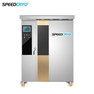 China Oyster Nitrogen Individual IQF Cabinet Quick Freezer Fish Shock Freezing Meat Equipment Machine For Shrimps for sale