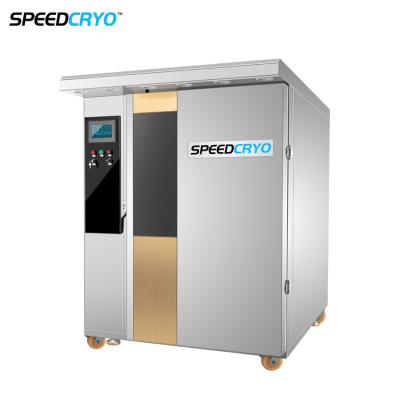 Cina Seafood Meat Industrial Liquid Nitrogen IQF Blast Quick Freeze Food Machine Shock Freezer in vendita