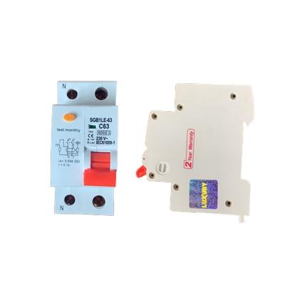 China Residual Current Protection SGB1LE-63 DZ47LE-63 RCBO MCB+RCD Combined Circuit Breaker ELCB For Water Heater for sale