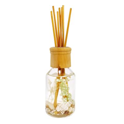 China Viable 100ml Nature Ocean Starfish Seashells Scented Oil Small Round Reed Diffuser Glass Bottle For Home for sale