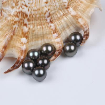 China Jewelry Making 10-11mm AA Grade Real Natural Genuine Seawater Peacock Black Round Tahitian Tahitian Sea Pearl Loose Price for sale