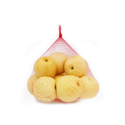 China Disposable Hot Selling Various Length L40cm 72 Bottoms 1kg Durable Fresh Plastic Fruit PP Mesh Twine Bag Tuck Net for sale