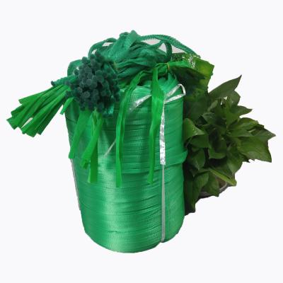 China 2021 Hot Selling Agricultural Mesh Agriculture Used PP/PE Plastic Extrude Poly Material Roll Mesh Net Bag for sale