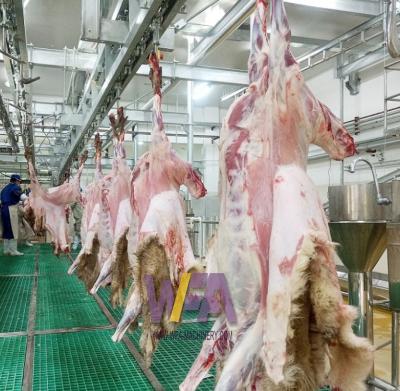 China Sheep / Goat 30-100 Food Processing Equipment Main Carcass International Halal Slaughterhouse Processing Line WFA Equipment For Slaughterhouse for sale