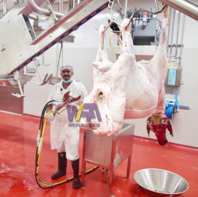 China International Halal Food Processing Slaughterhouse Design Slaughterhouse Machinery Goat Lamb Lamb Slaughter Meat Processing Line For Complete Slaughter Line Plant for sale