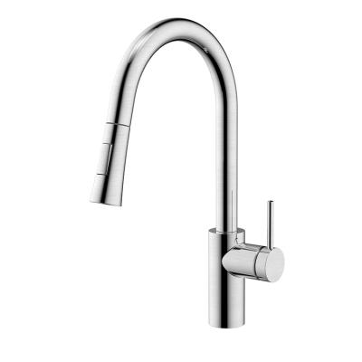 China Modern 304 Stainless Steel Kitchen Taps Mixer Taps Single Handle Brushed Outdoor Mixer Tap Pull Down Kitchen Faucet for sale