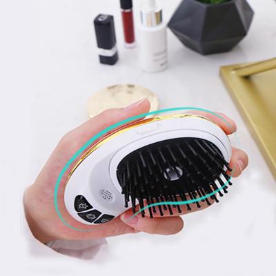 China Latest Travel Version Good Quality Electronic Paint Hair Care Plastic Detangle Hair Brush For Massage for sale