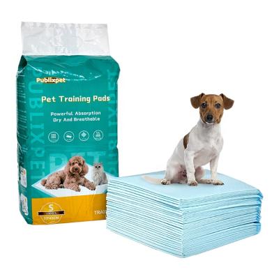 China Sustainable Indoor Disposable Urine Water Absorption Mat Puppy Pet Training Pee Sanitary Pads For Dogs for sale