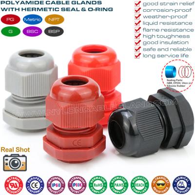 China Kabelkranze PG13.5 (M20) Nylon IP69K, einstellbar 6-12 mm Kabelkranze IP68 wasserdichtes Versiegelungsanschluss mit O-Ring zu verkaufen