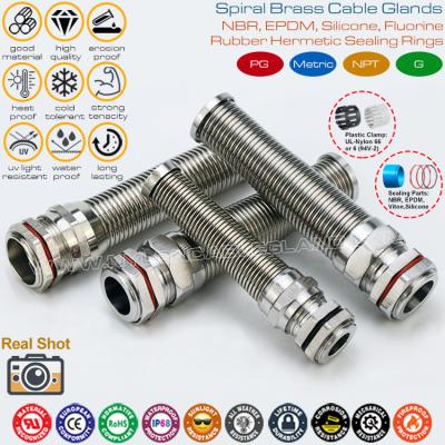 China Hermetic Connectors Cable Glands Metallic Spiral PG Thread Water Resistant IP68 with Kink Protection for sale