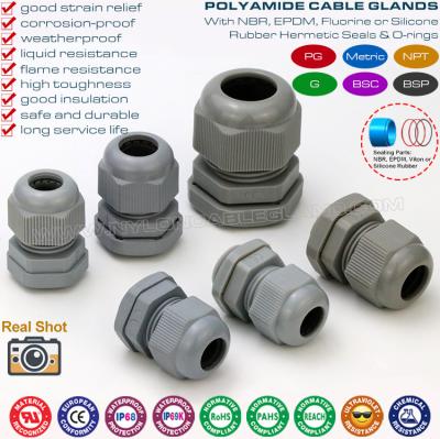 China IP68 PG & Metric Grey Watertight Straight Cable Glands Polyamide 6 (Nylon 6 ou Polymer 6) para caixa de junção à venda