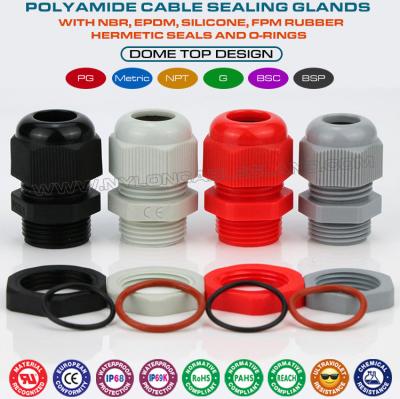 Chine Presse-étoupe polyamide PG13.5, presse-étoupe isolé IP68 à filetage PG 20.4 mm pour gamme de câbles de 6 à 12 mm à vendre