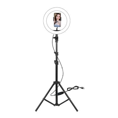 China Success 10 inch Dimmable 26 cm PORTABLE Photographic Ring Light Lighting Stand with Phone Holder for youtube tiktok live streaming for sale