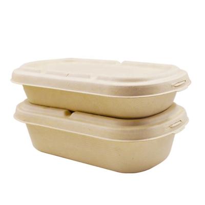 China 3 Compartment Plastic Safe Airtight Eco Disposable Biodegradable Lunch Box Te koop