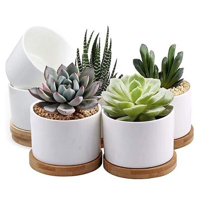 China Ceramic Flower Planter Pot Indoor Room Decoratio with Bamboo Desktop Windowsill Decor Pot Tray Mini 3.15 inch Succulent en venta