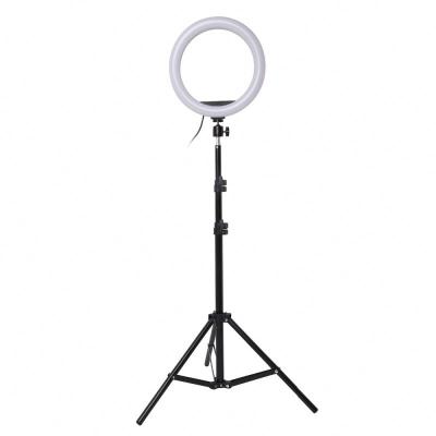 China Beauty Live Ring Light 10Inch RGB LED Selfie Ring Fill Light with Tripod Stand Photography Dimmable Ring Lamp for TikTok Youtube Visual Makeup Lights for sale