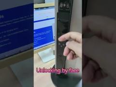 Facial Recognition Video Cat Eye Smart lock Palm Vein Unlocking Chinese Factory