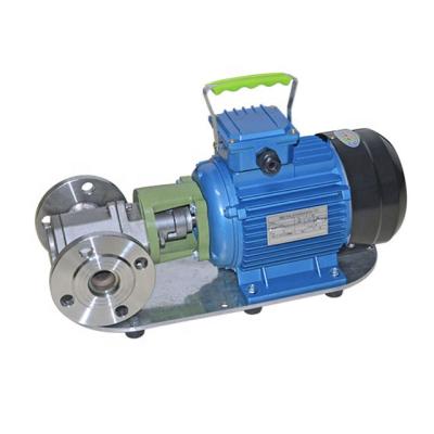 China Biofuel industry WCB cast iron stainless steel food grade sanitary small edible oil diesel gear pump for sale