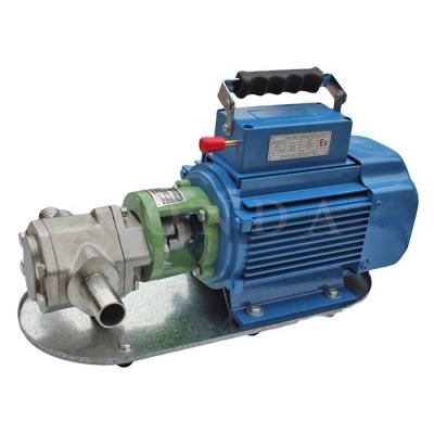 China Biofuel Industry WCB Portable Electric Oil Transfer Gear Pump for Diesel, Kerosene, etc. for sale