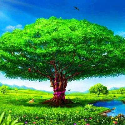 China DIY Large Green Tree Drill Diamond Picture Canvas Painting Full Frameless for sale