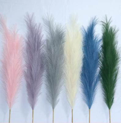 China Real Touch Real Touch Artificial Flower Real Pampas Grass With Soft Felling For Wedding Home Decor for sale