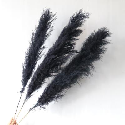 China Large Natural Market Home/Artificial Dried Pampas Grass The Decor Dried Natural Fake Flower 50-80cm Outer Wedding for sale