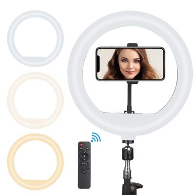 China Professional 18inch Portable Tripod Led Round Fill Light Led Ring Light Film Studio Equipment Video Selfie Video Ring Light Stand for sale