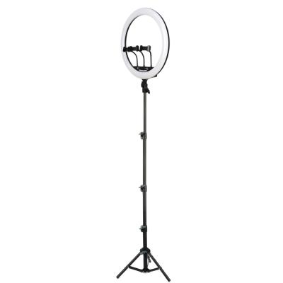 China Mini 18 Inch LED Ring Light With Tripod Stand Strong Power 18 Inch Ring Light Stand With Carry Bag for sale