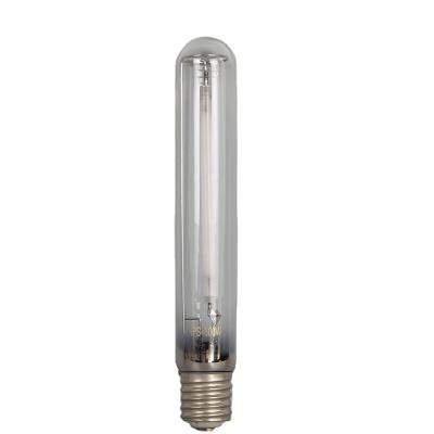 China road lighting & Plant Growth Greenhouse Plant Grow Flower Sodium Vapor Lamp 600W for sale