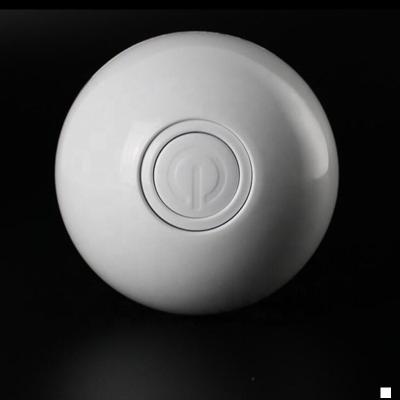 China Viable Funny Spheroidal Interactive Motion Toys Cat Pet Toy Electronic Electric Ball for sale