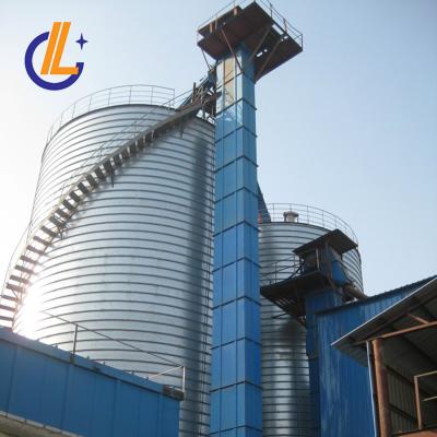 China New large capacity rice silo heat resistant bucket elevator for sale for sale