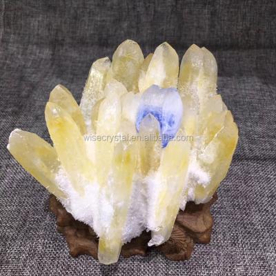 China Europe RARE! ! Yellow Citrine Quartz Crystal Cluster Newly Discovered Specimen for sale