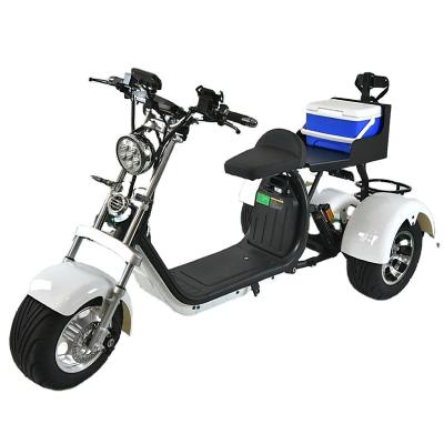 China Hot sale EU style unisex powerful dual motor electric three-wheel motorcycle modern shock absorption for sale