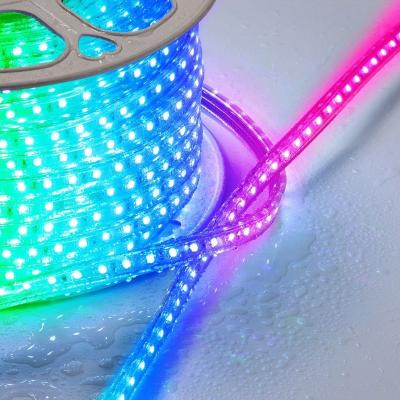 China Outdoor Garden Lamp 110V High Voltage Waterproof Colorful Belt for sale