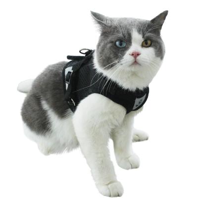 China Free Sample Padded Pet Cat Leash Dog Harness and Collar Pet Leash Set Hot Selling for sale