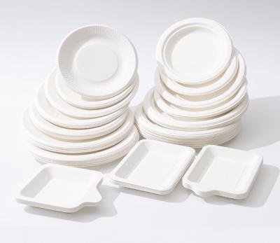 China Microwave Safe Microwave Safe 5*10 Inch Disposable Plates White Dishes For Party Paper for sale