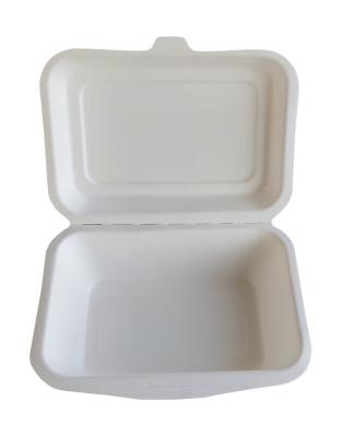 China 600ml Bagasse Sugar Cane Fruit Paper Compostable Customized Customized Cake Boxes For Clamshell for sale