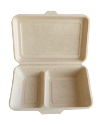 China Good Design Good Design Bagasse Paper Clamshell Packaging Eco Lunch Containers Food Takeout Box for sale