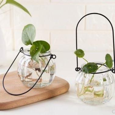 China Amazon Hot Sale Modern Universal Clear Glass Hydroponic Vase Container Green Plant Wholesale Clear Glass Flower Pots for sale