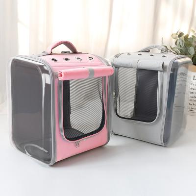 China Viable Multifunctional Portable Portable Pet Display Bag Pet Favored Car For Carrying Pet Cage Strap for sale