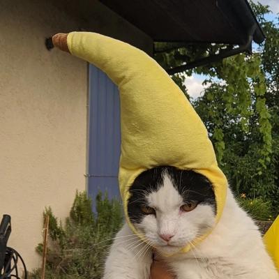 China Cute Funny Viable Pet Cat Costume Banana Cap Hat for Cat Dog Halloween Christmas Clothes Party Pet Costume Clothes for sale