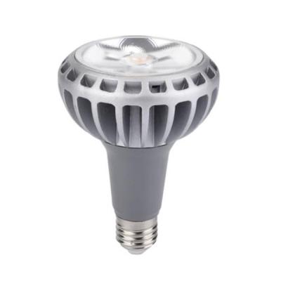 China 2016 new design 28w 3000k led par30 replace halogen lamp for sale