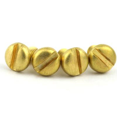 China 1/4 Inch Brass Pan Screw Stainless Steel Self Tapping Wood Screw for sale