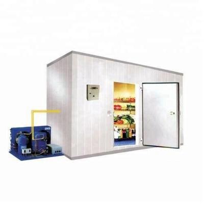 China Single-Temperature Cold Storage Cold Room Walk Into A Cooler Freezer Colder Room for sale