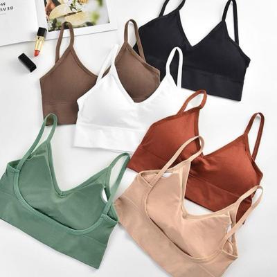 China 2021 New Antibacterial Women Beach Crop Top Seamless Underwear Female Crop Tops Sexy Lingerie Suggests Fashion With Removable Padded Camisole for sale